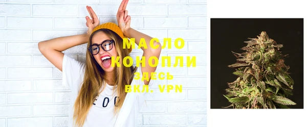 дмт Богданович