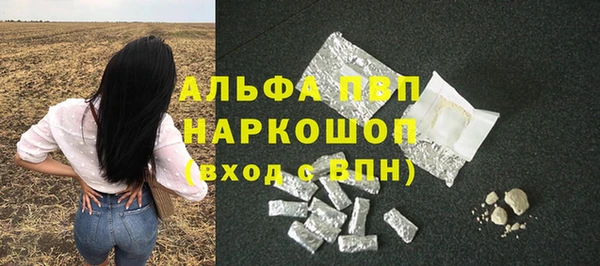 гашик Арсеньев