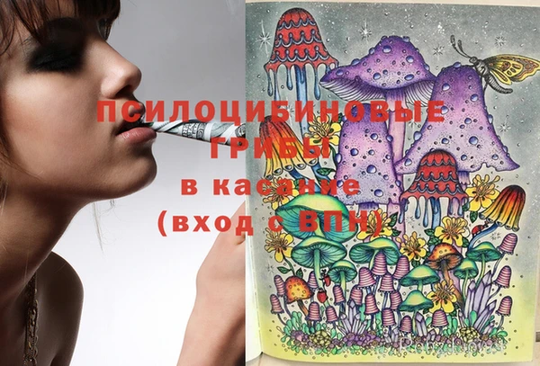 марки nbome Богородицк