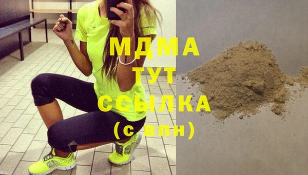 шишки Няндома