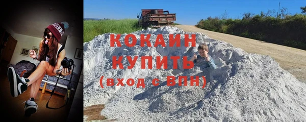 дмт Богданович