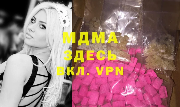 дмт Богданович