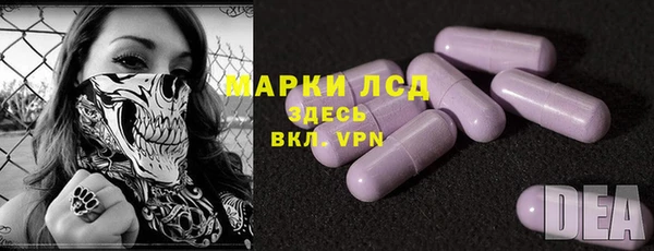 гашик Арсеньев