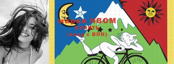 дмт Богданович
