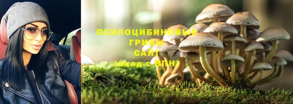 марки nbome Богородицк