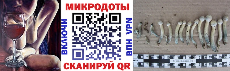 Галлюциногенные грибы мухоморы  купить закладку  Верхняя Салда 